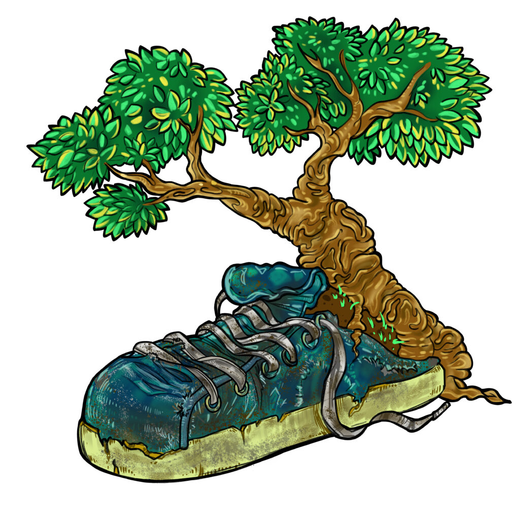 ต้นไม้กับรองเท้า Tree and Shoes